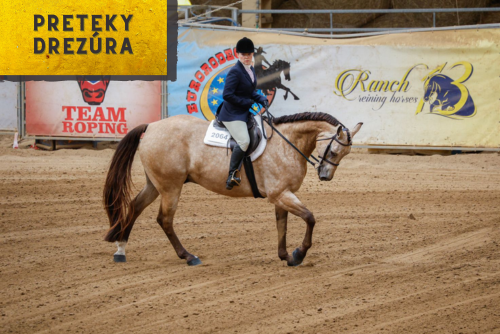 HALA - Drezúra All Round - SeeSee Cup Ranch 13
