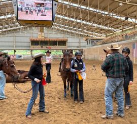 Team Roping ,Ohradky ,Rychlostky -Ranch13 17-19.5.2024