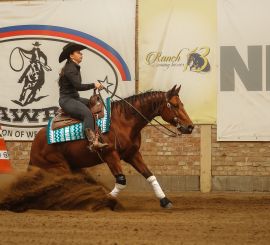 Reining NRHA April Slide Spring DERBY (NRHA + SAWRR) 24.-27.4.2025