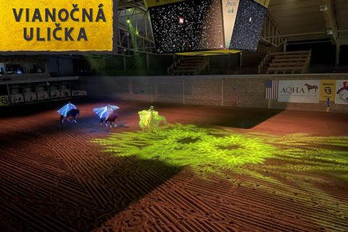Vianočná ulička ❤️ vždy od 17:00 Harry Potter